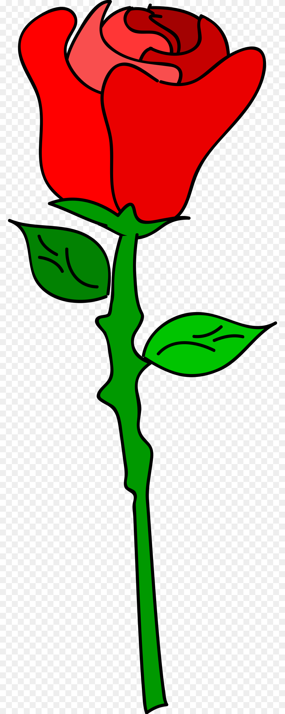 Clipart, Flower, Plant, Rose, Person Png Image