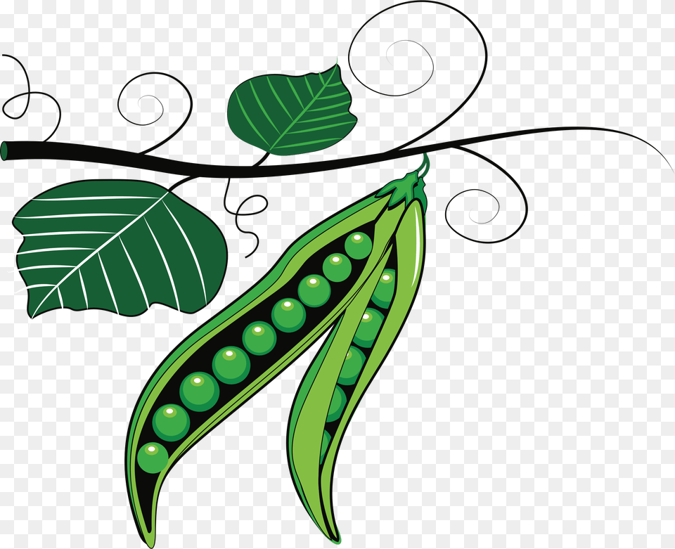 Clipart, Food, Produce, Pea, Plant Free Png