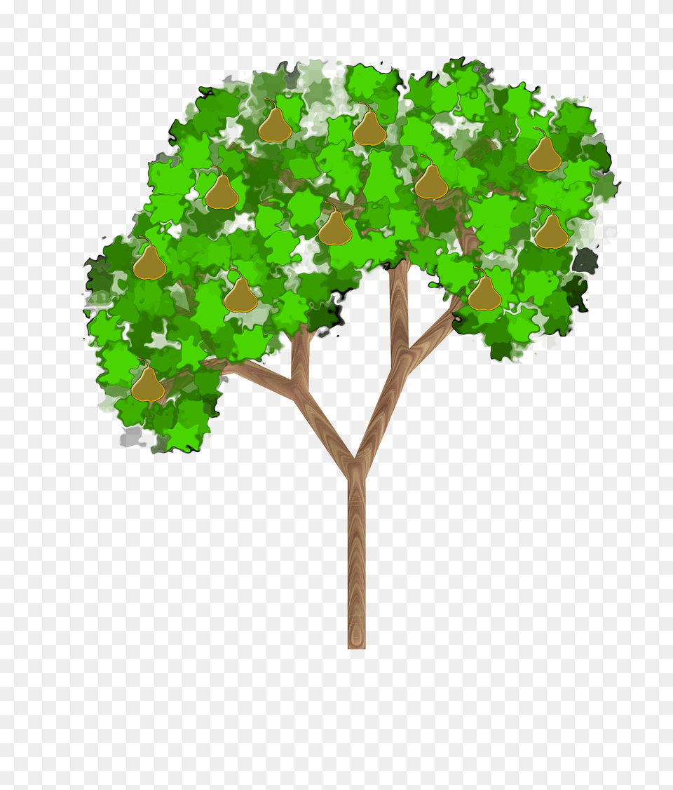 Clipart, Tree, Oak, Sycamore, Plant Png Image