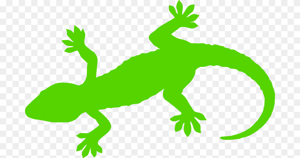 Clipart, Animal, Gecko, Lizard, Reptile Png Image