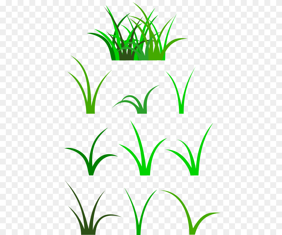 Clipart, Vase, Pottery, Potted Plant, Planter Png