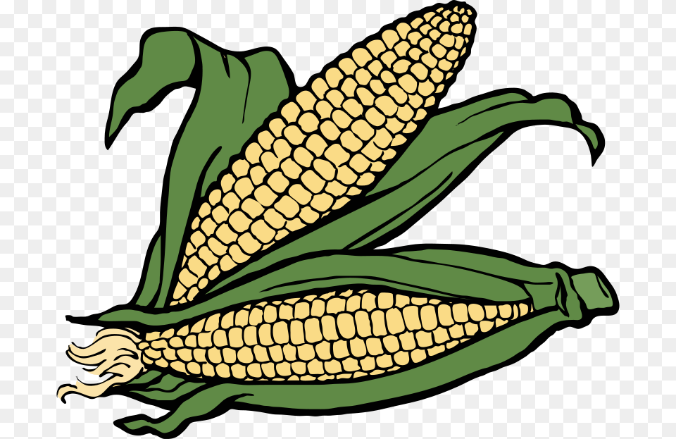 Clipart, Corn, Food, Grain, Plant Png Image