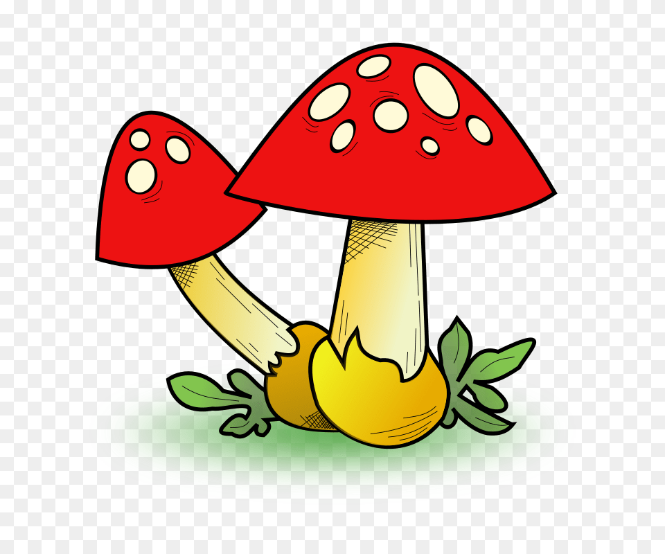 Clipart, Fungus, Mushroom, Plant, Agaric Free Png Download