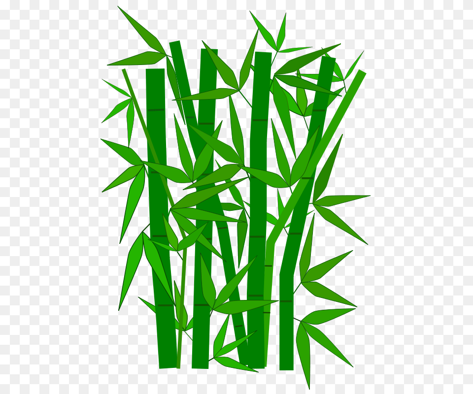 Clipart, Plant, Bamboo Free Png Download