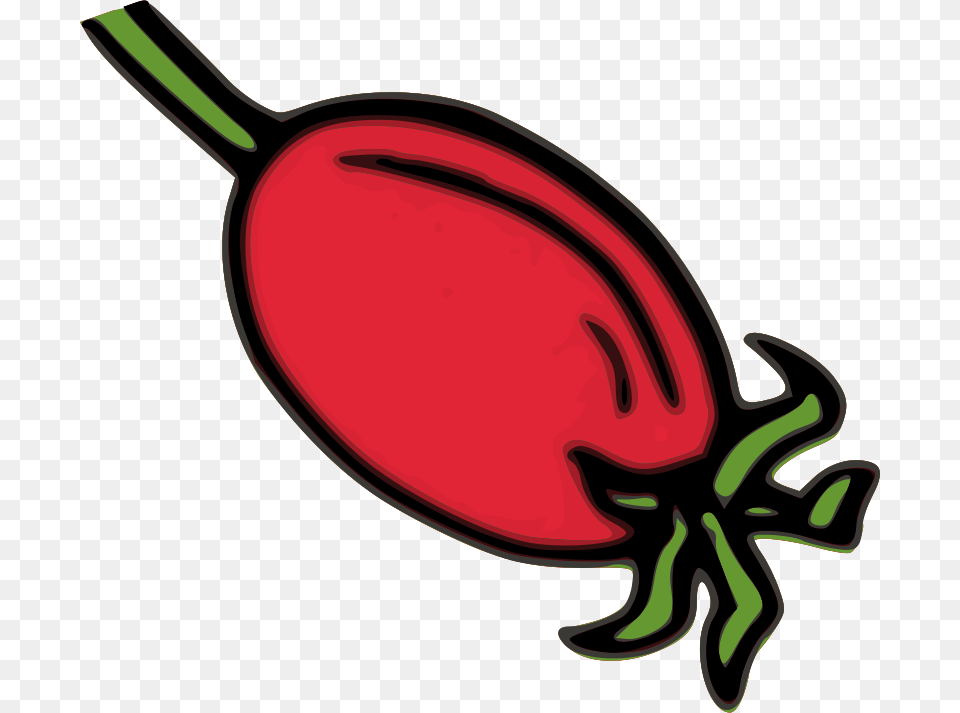 Clipart, Food, Produce, Plant, Radish Png Image
