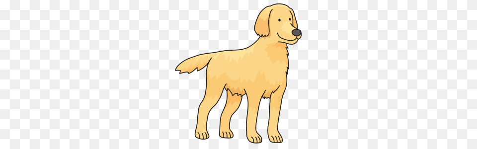 Clipart, Animal, Canine, Dog, Golden Retriever Free Png Download