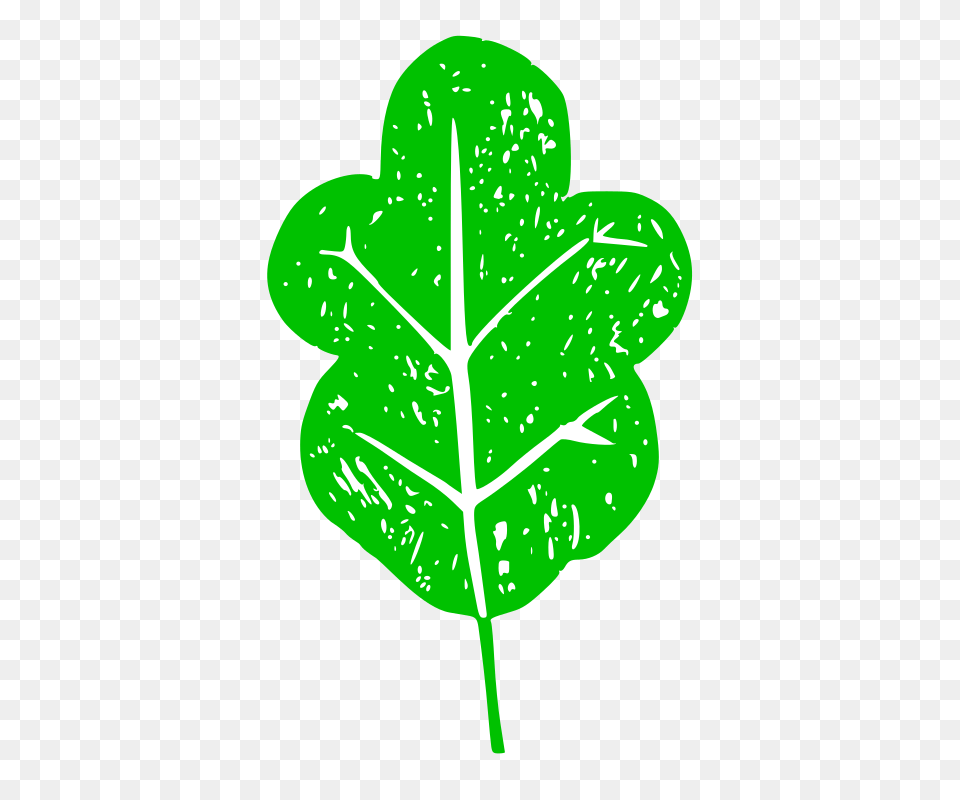 Clipart, Green, Leaf, Plant Free Transparent Png