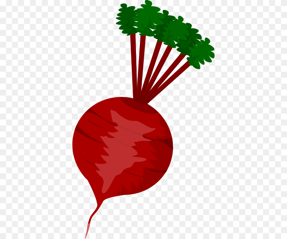 Clipart, Food, Produce, Plant, Radish Png