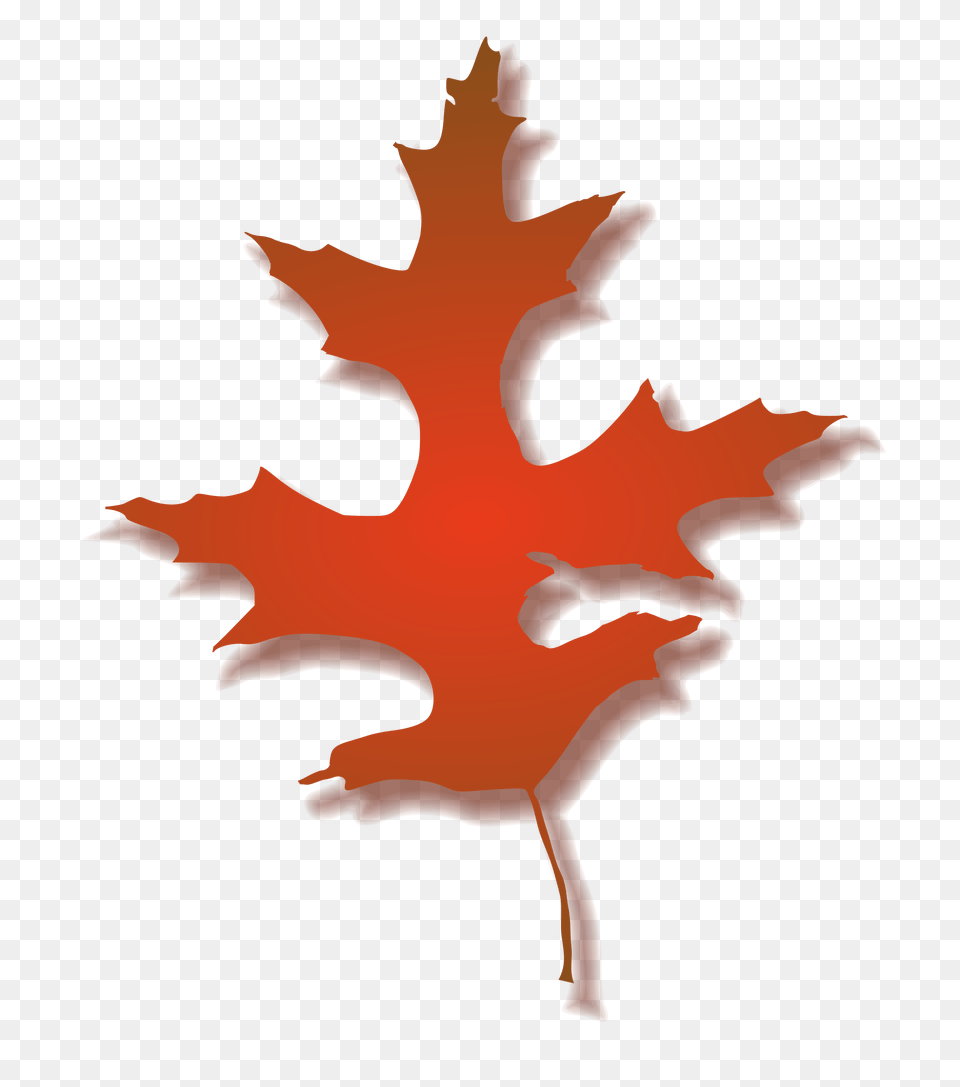 Clipart, Leaf, Plant, Tree, Maple Leaf Free Transparent Png