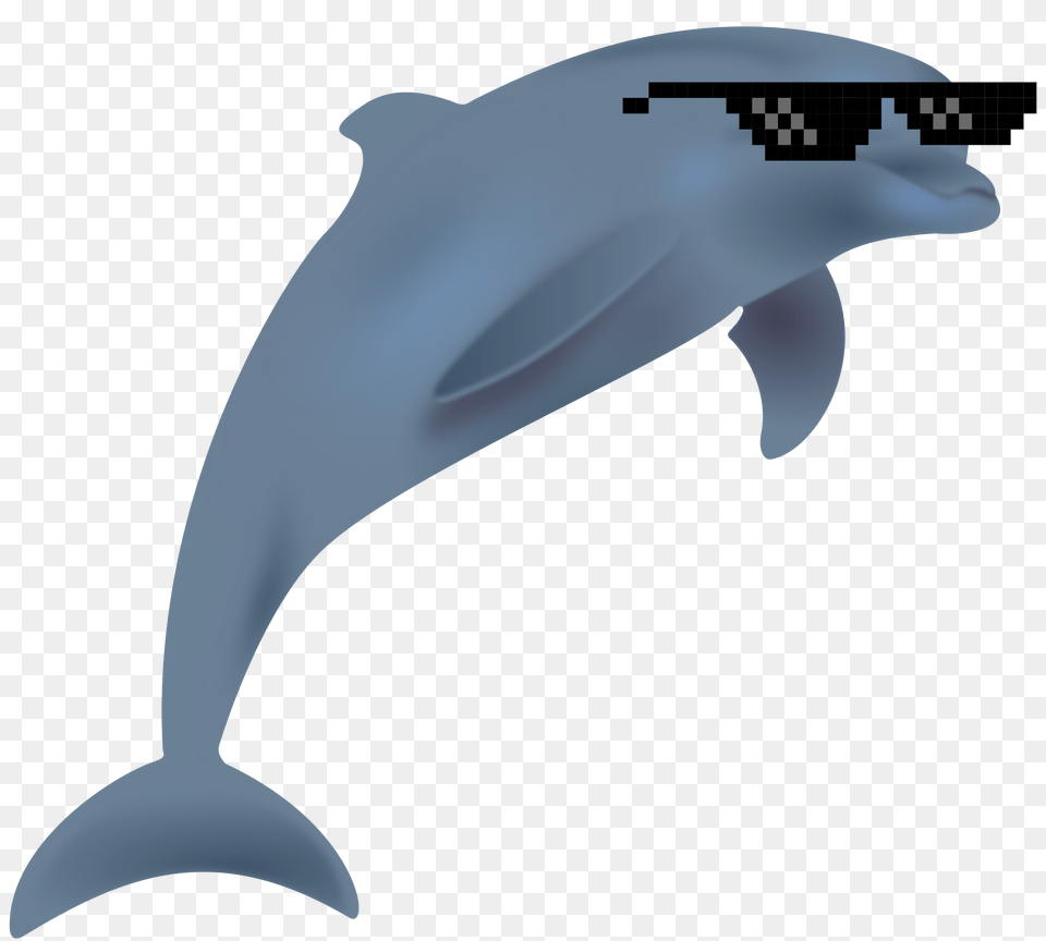 Clipart, Animal, Dolphin, Mammal, Sea Life Png Image