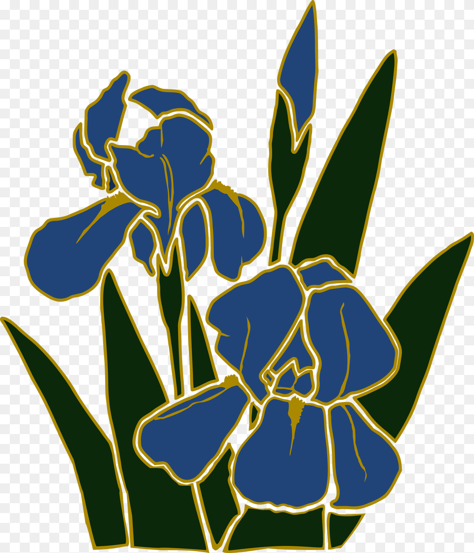 Clipart, Flower, Iris, Plant, Petal Free Png