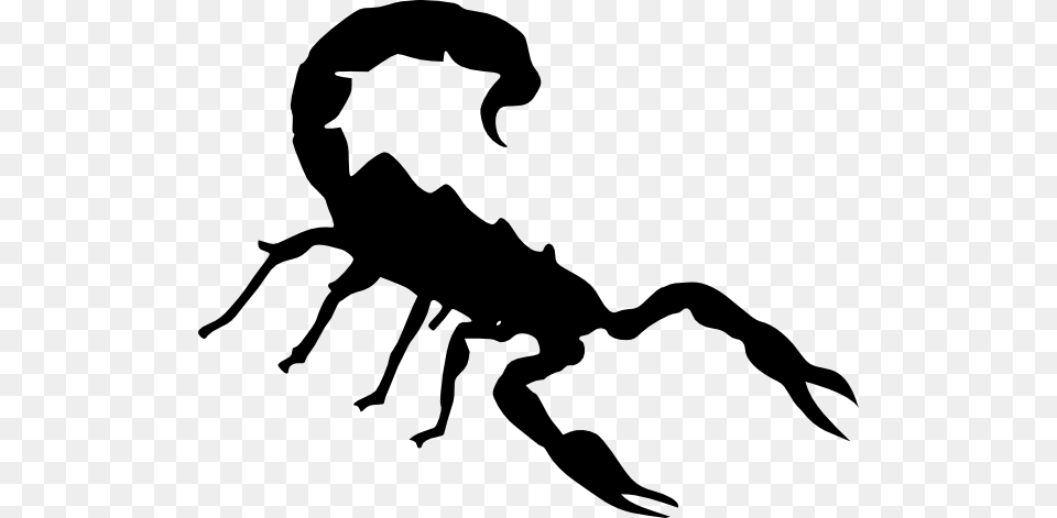 Clipart, Stencil, Animal, Invertebrate, Scorpion Free Transparent Png