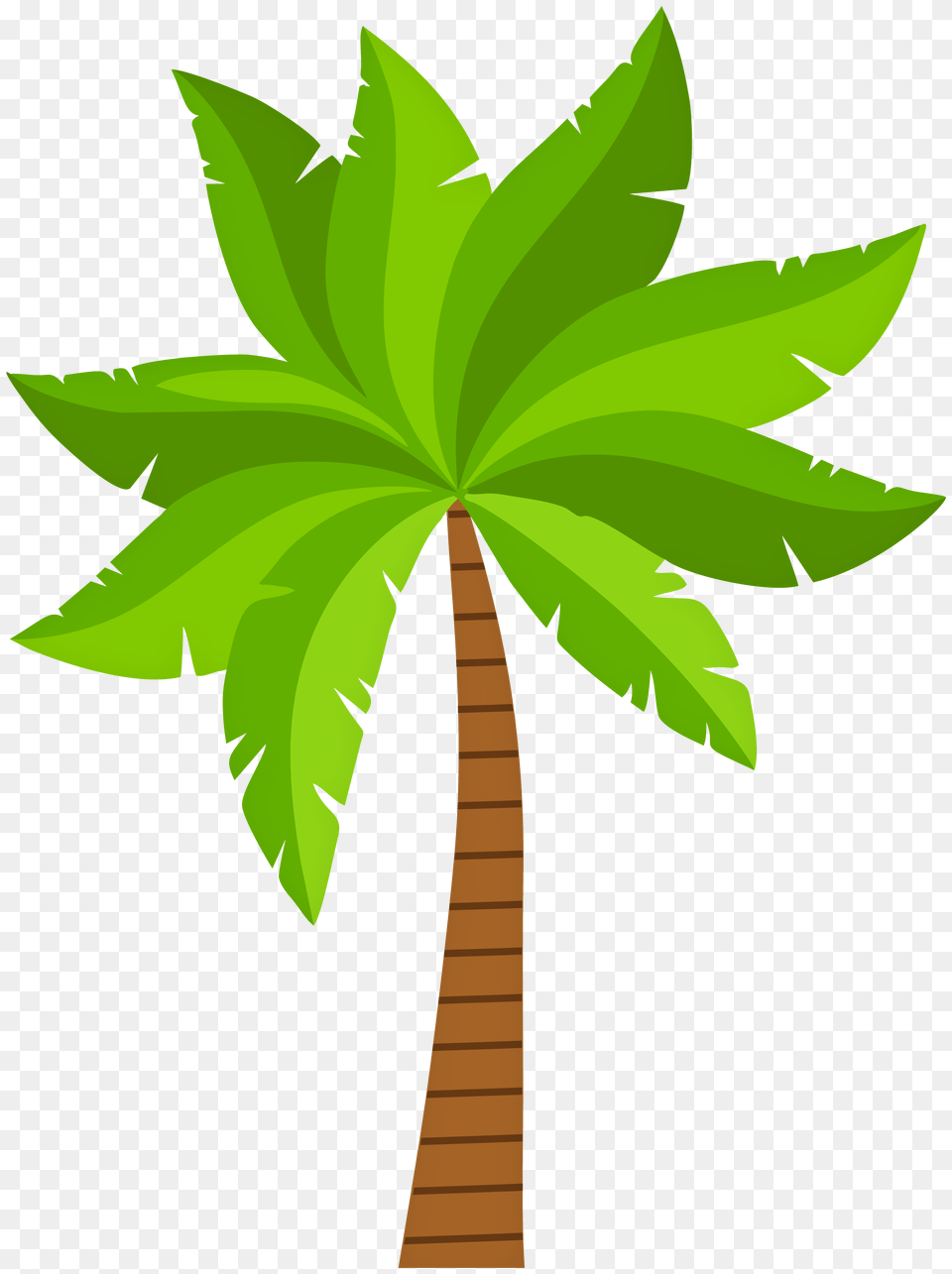 Clipart, Leaf, Tree, Plant, Green Free Png