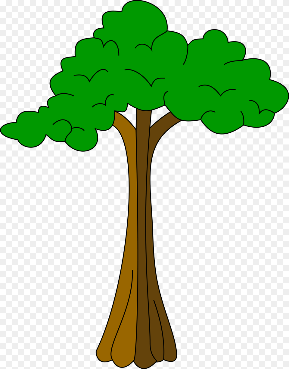 Clipart, Plant, Tree, Green, Symbol Free Png