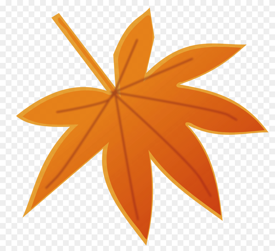 Clipart, Leaf, Plant, Tree, Maple Leaf Png