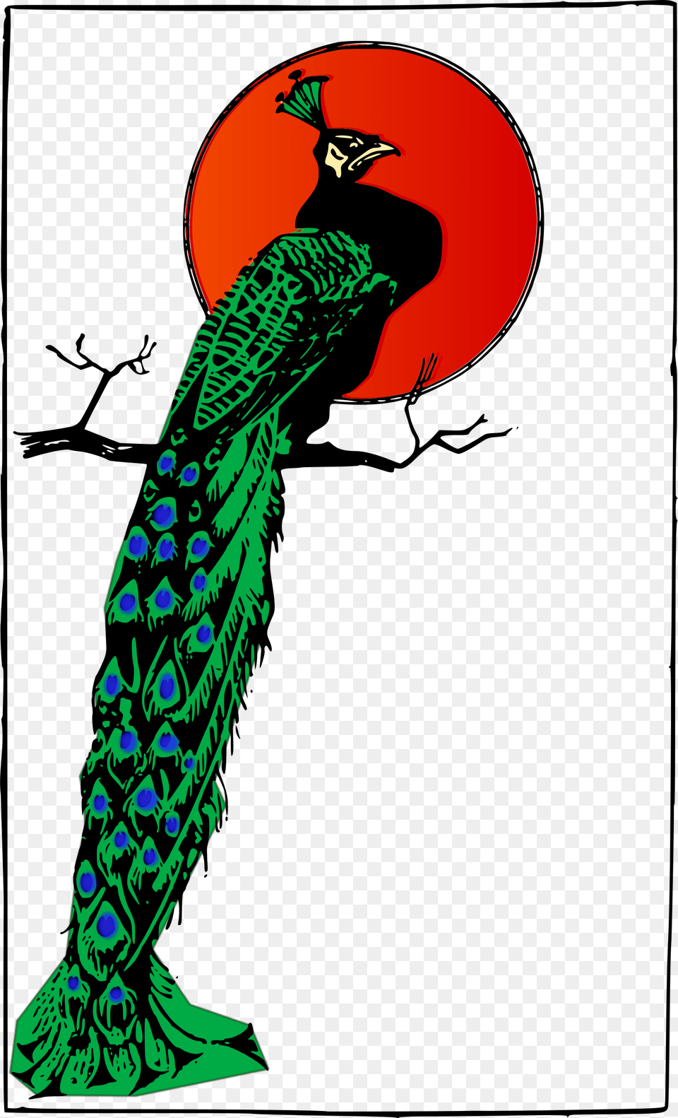 Clipart, Animal, Bird, Peacock Png