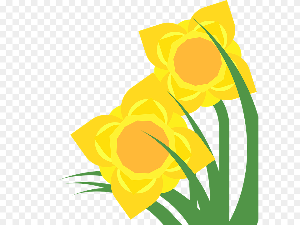 Clipart Daffodil, Flower, Plant, Person Png Image