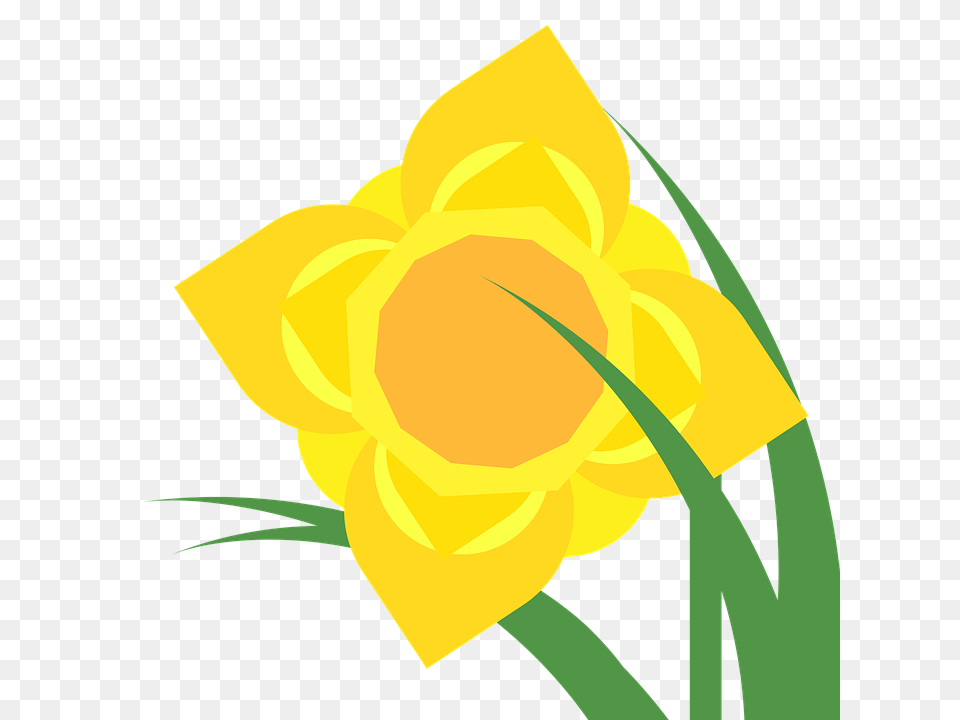 Clipart Daffodil, Flower, Plant, Person Png Image