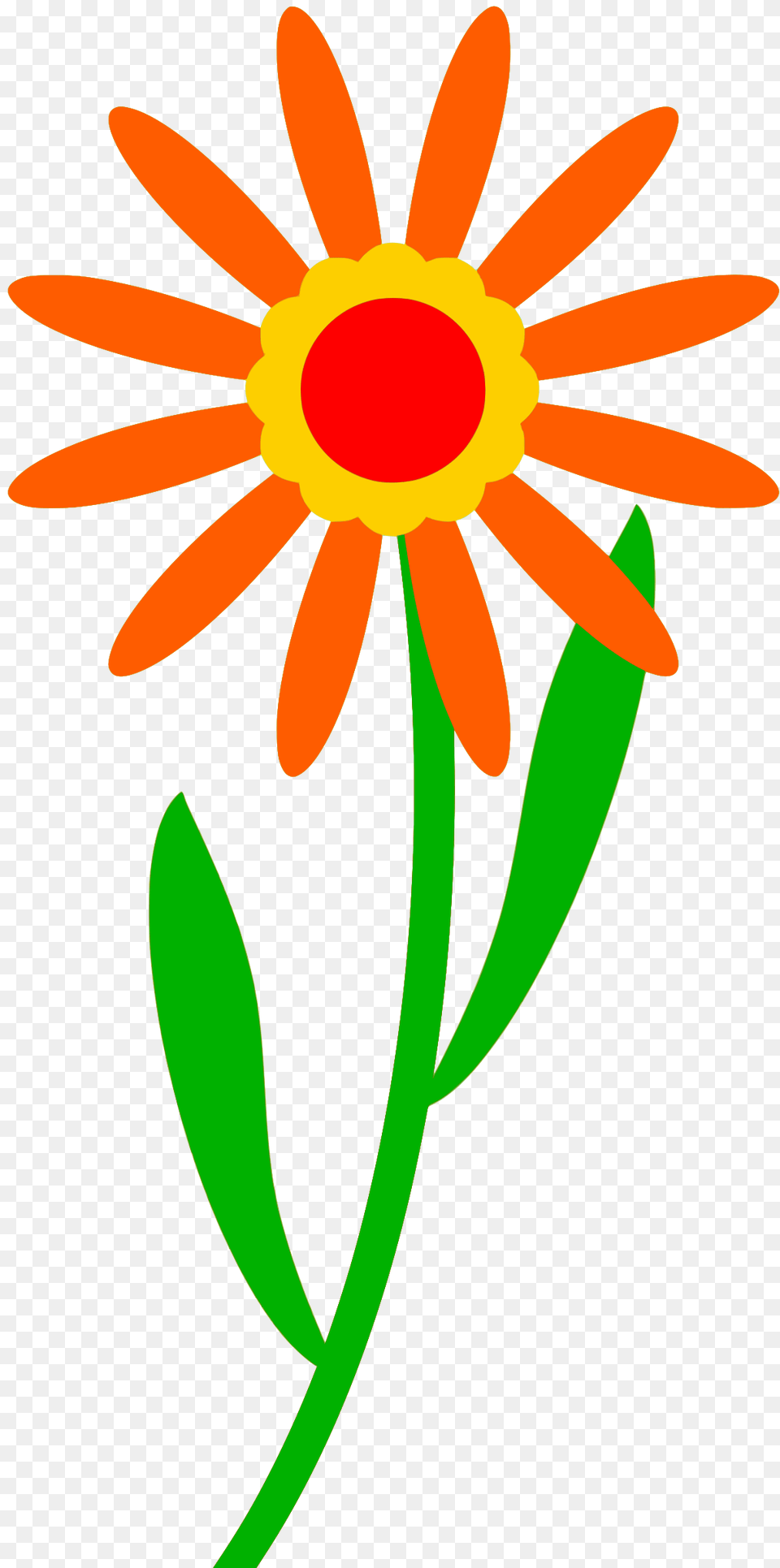 Clipart, Daisy, Flower, Petal, Plant Free Transparent Png