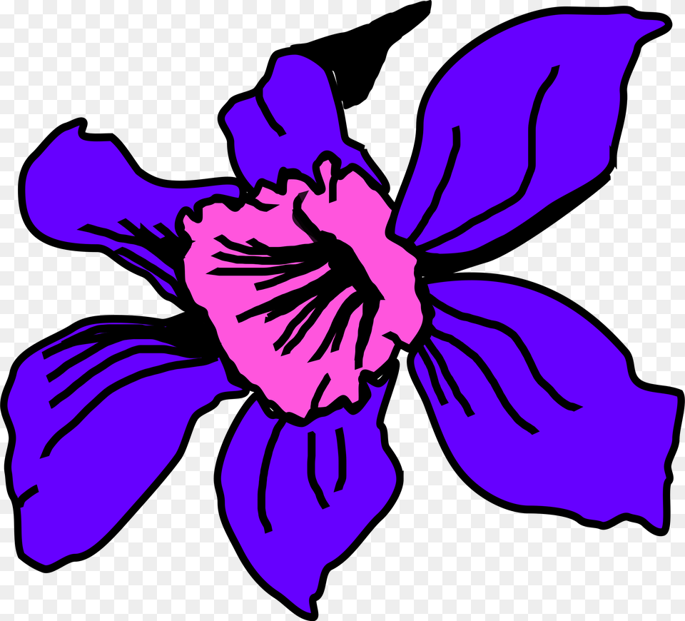 Clipart, Flower, Petal, Plant, Purple Free Png