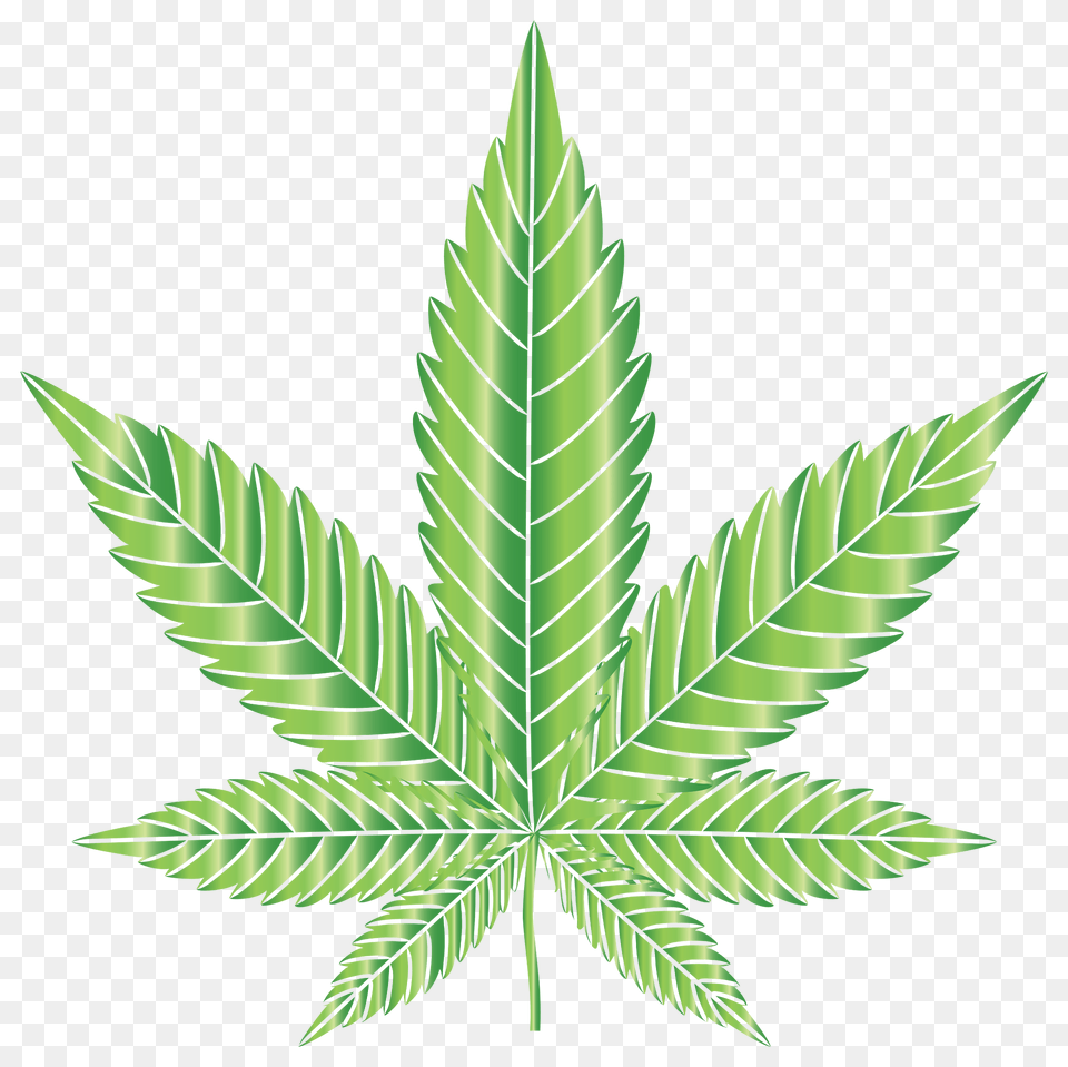 Clipart, Leaf, Plant, Green, Weed Free Png