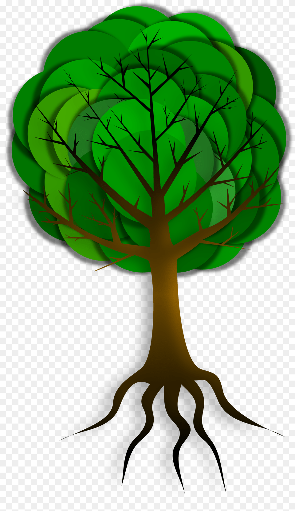 Clipart, Green, Leaf, Plant, Tree Free Png