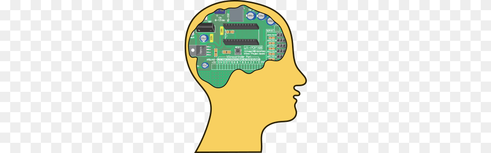 Clipart, Electronics, Hardware, Person, Printed Circuit Board Free Png