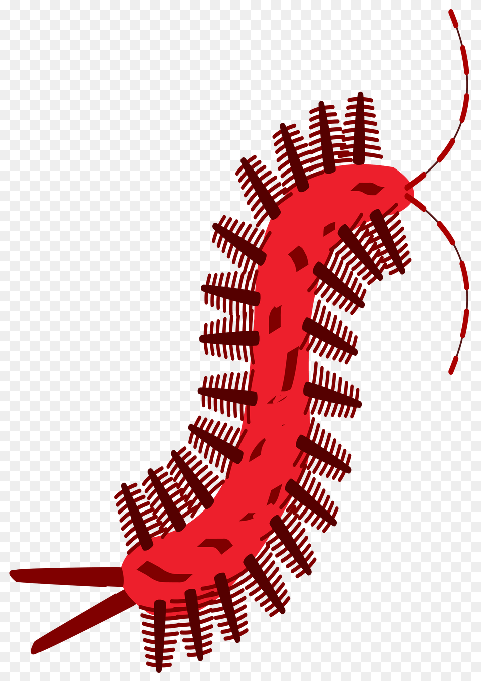 Clipart, Person Free Png