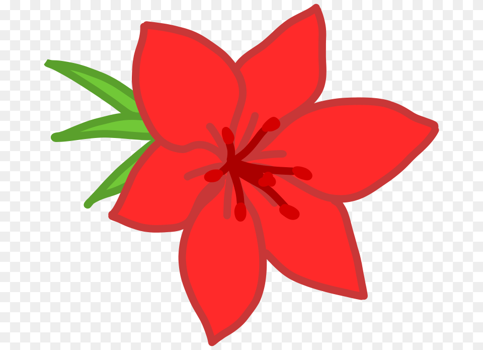 Clipart, Flower, Plant, Lily, Animal Png