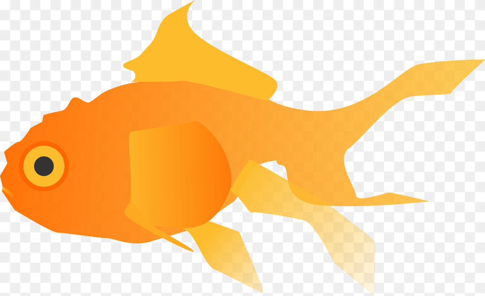 Clipart, Animal, Fish, Sea Life, Goldfish Png Image