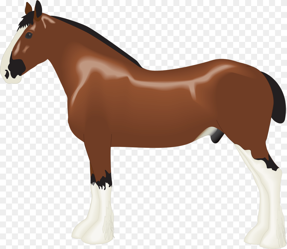Clipart, Animal, Colt Horse, Horse, Mammal Free Transparent Png