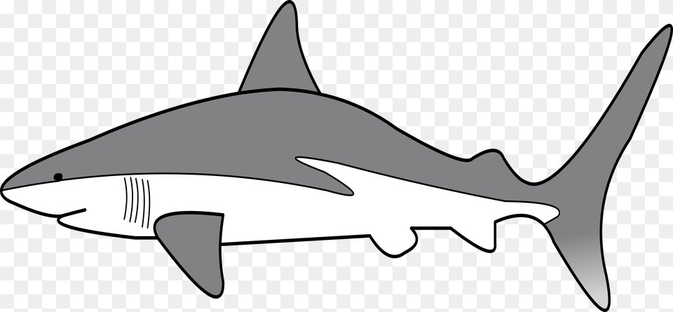 Clipart, Animal, Fish, Sea Life, Shark Png