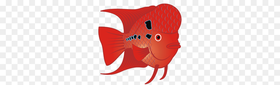 Clipart, Animal, Sea Life, Fish, Shark Free Transparent Png