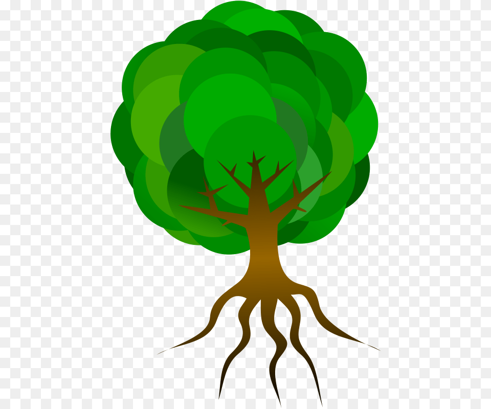 Clipart, Green, Plant, Root Free Png