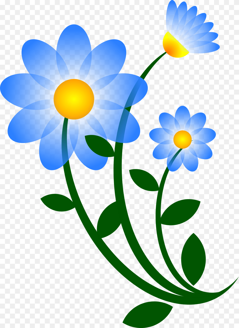 Clipart, Anemone, Art, Daisy, Flower Free Png