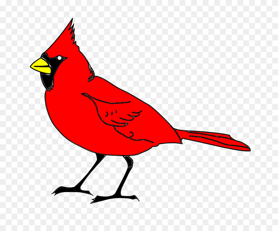 Clipart, Animal, Bird, Cardinal Free Transparent Png