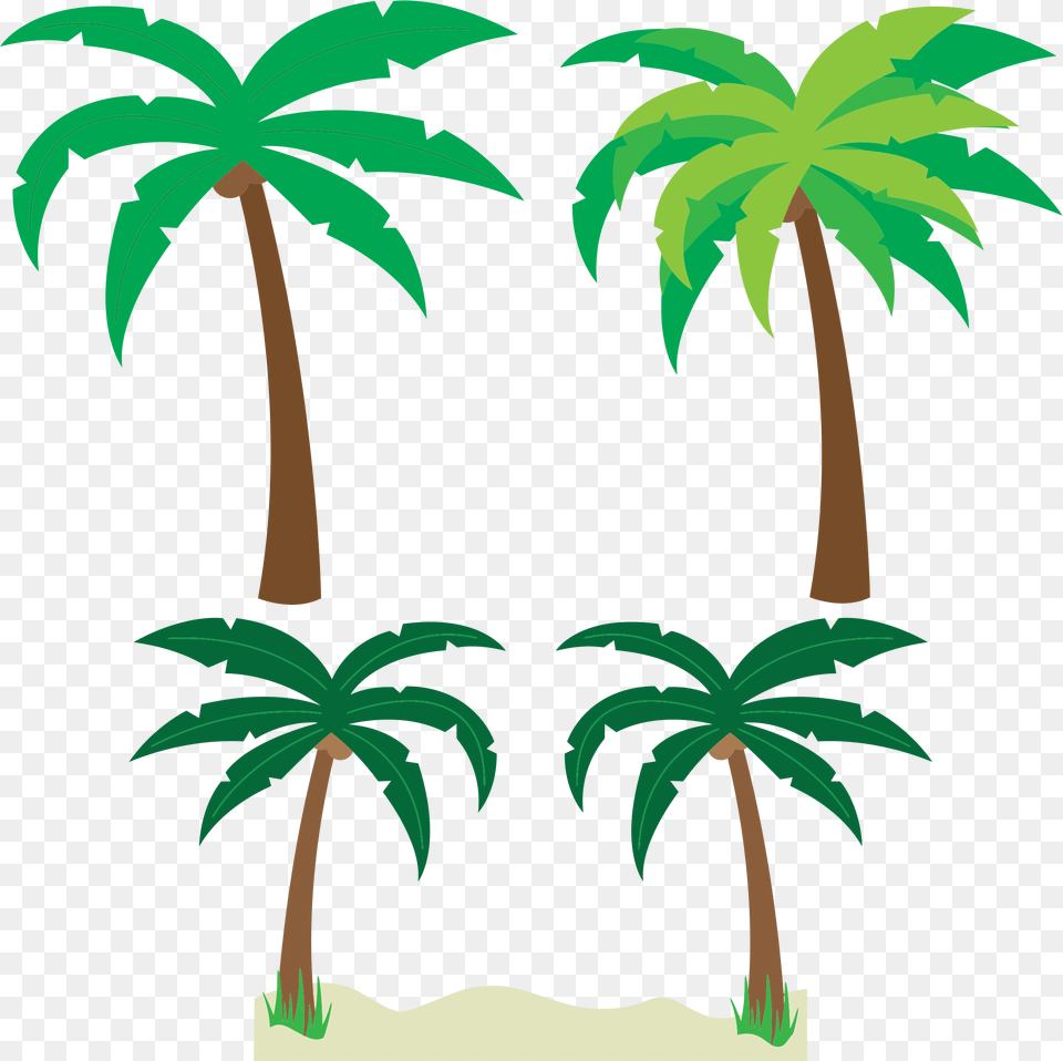 Clipart, Palm Tree, Rainforest, Plant, Vegetation Free Png