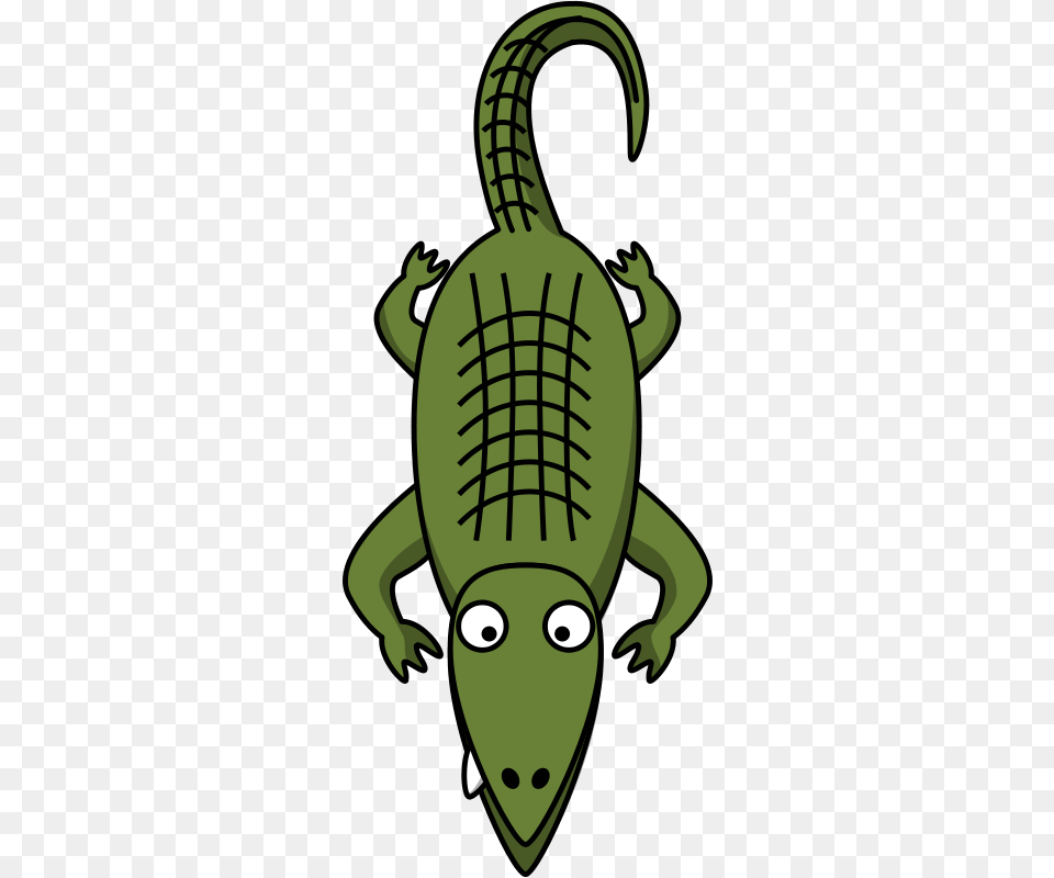 Clipart, Animal, Baby, Person, Crocodile Png