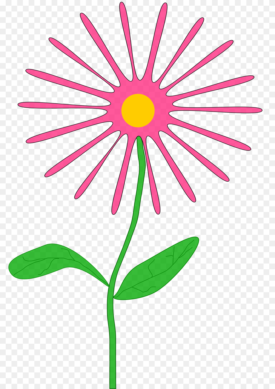 Clipart, Daisy, Flower, Plant, Petal Png