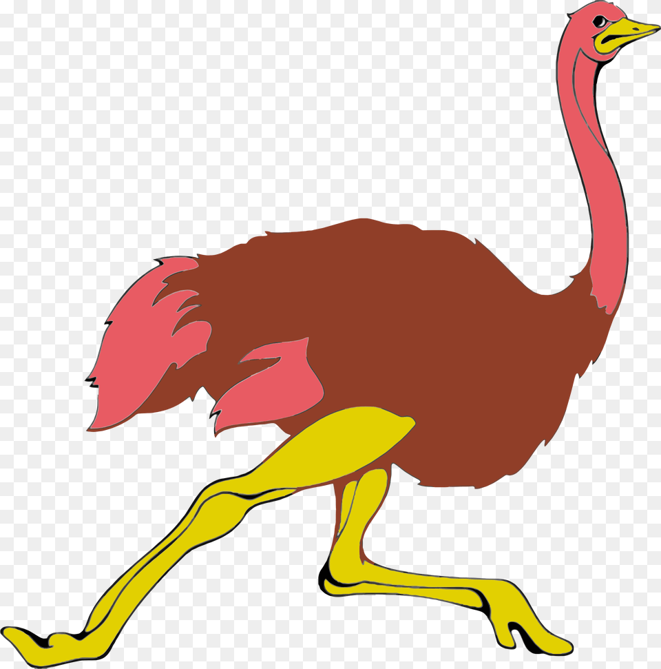 Clipart, Animal, Bird, Beak, Ostrich Free Png Download