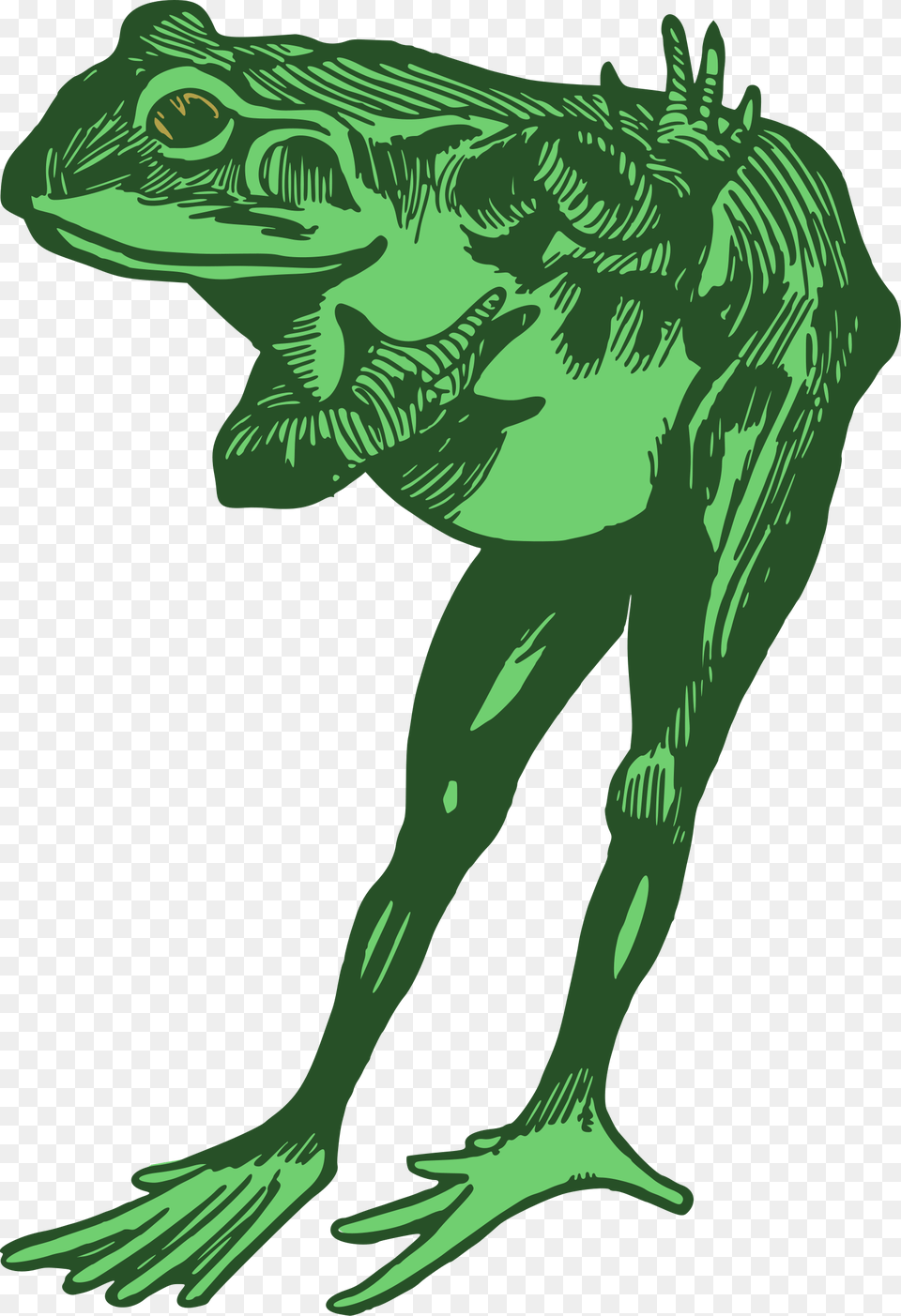 Clipart, Green, Adult, Female, Person Free Transparent Png