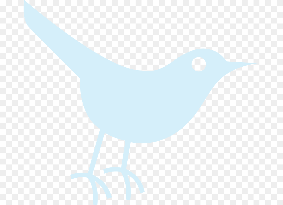 Clipart, Animal, Bird, Blackbird, Person Png Image