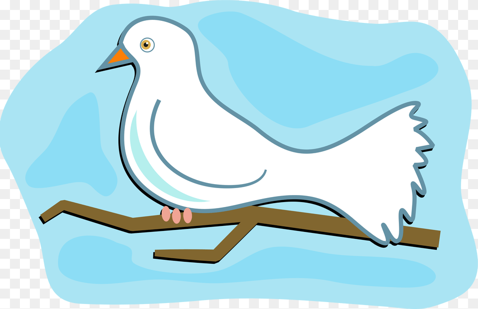 Clipart, Animal, Bird, Pigeon, Dove Free Png Download