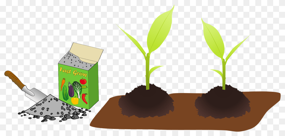 Clipart, Herbal, Herbs, Plant, Soil Png