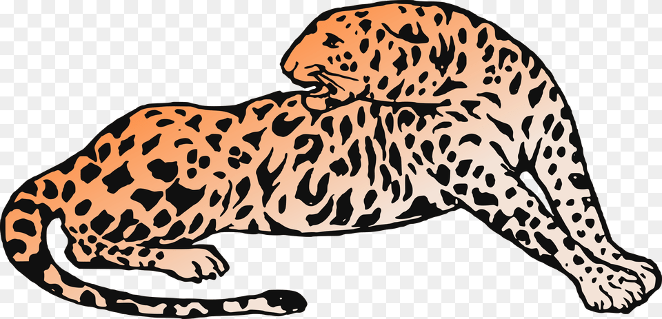 Clipart, Animal, Cheetah, Mammal, Wildlife Free Transparent Png