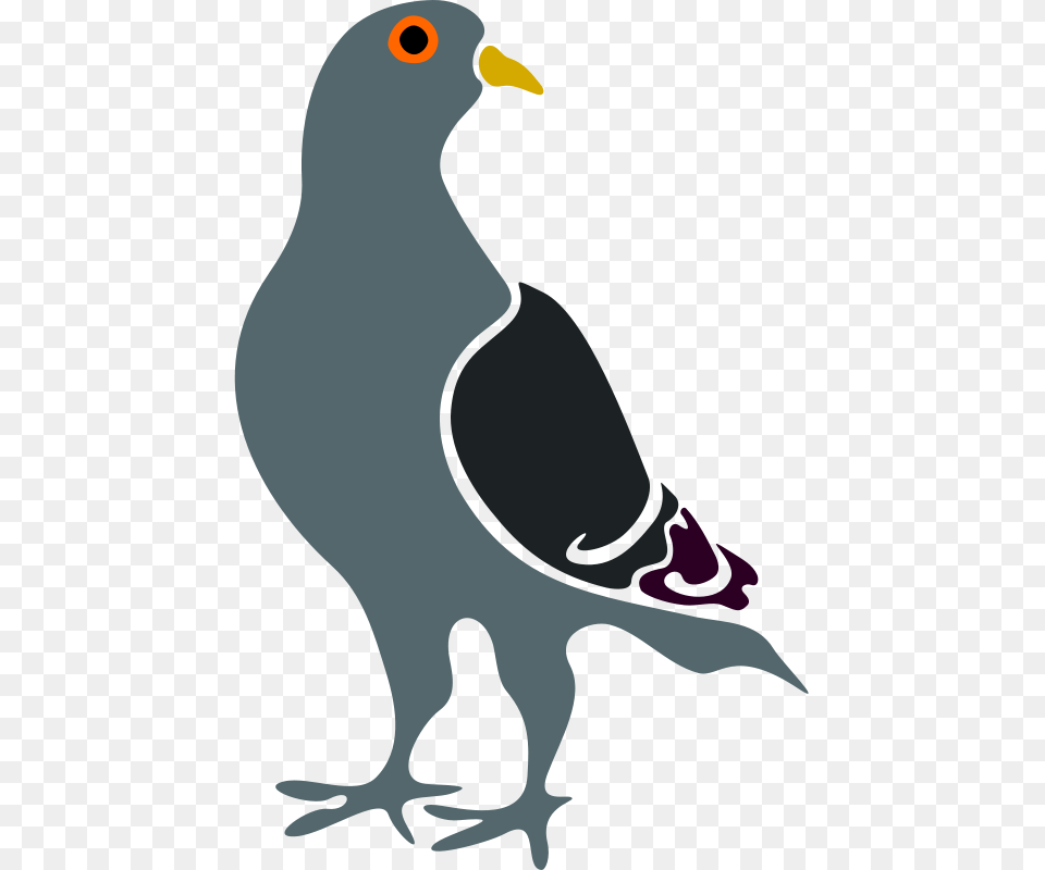 Clipart, Animal, Bird, Pigeon, Blackbird Png Image