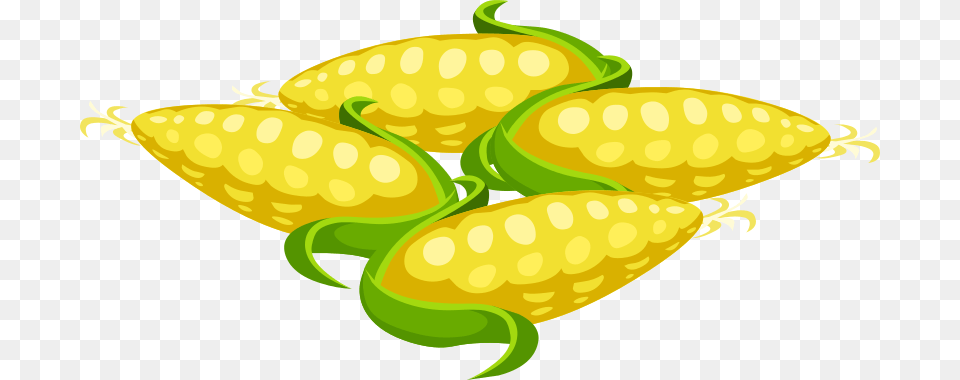 Clipart, Food, Produce, Corn, Grain Png