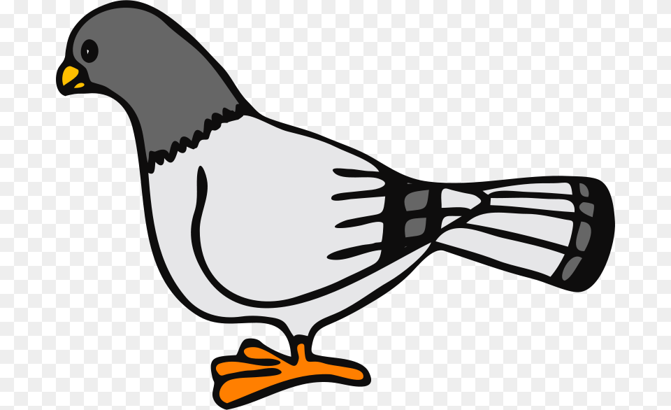 Clipart, Animal, Bird, Jay, Fish Png