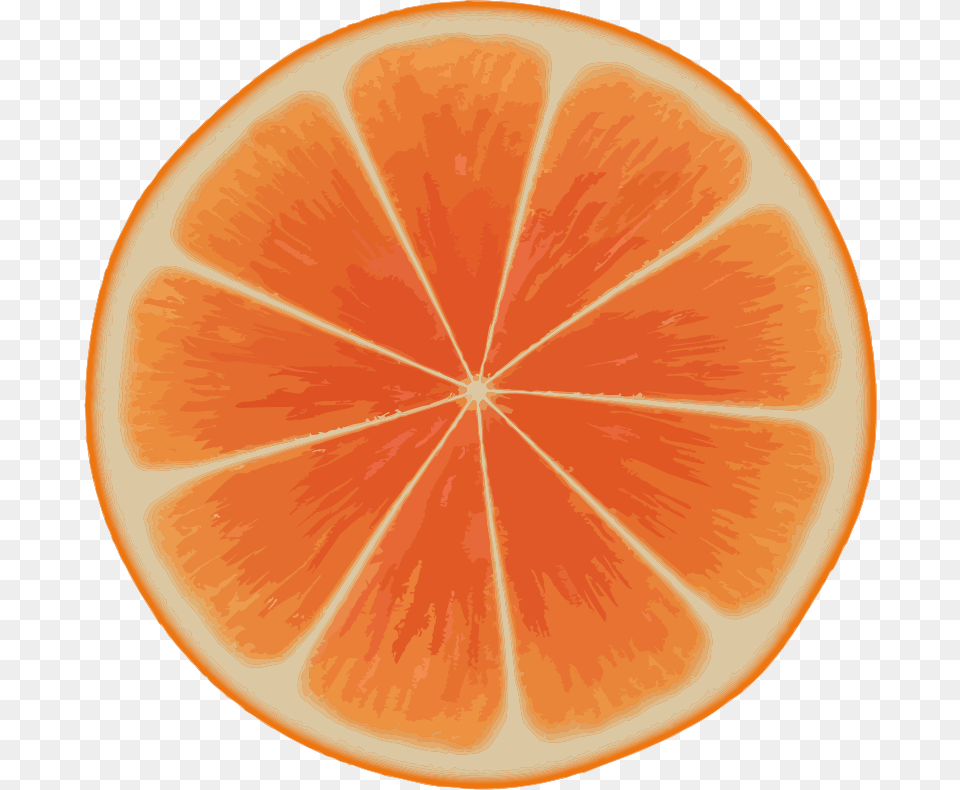 Clipart, Citrus Fruit, Food, Fruit, Grapefruit Free Png Download