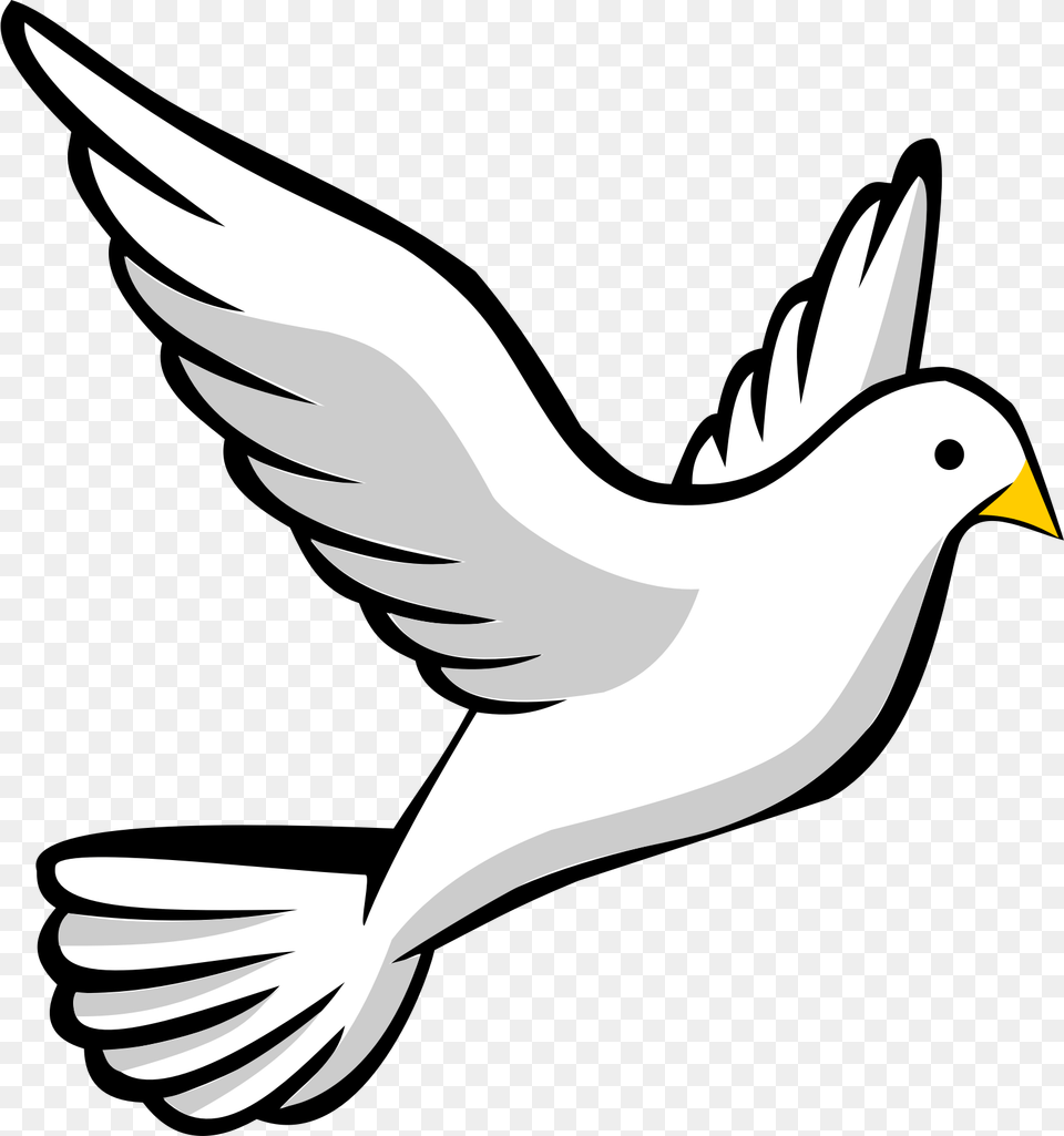 Clipart, Animal, Bird, Pigeon Png Image